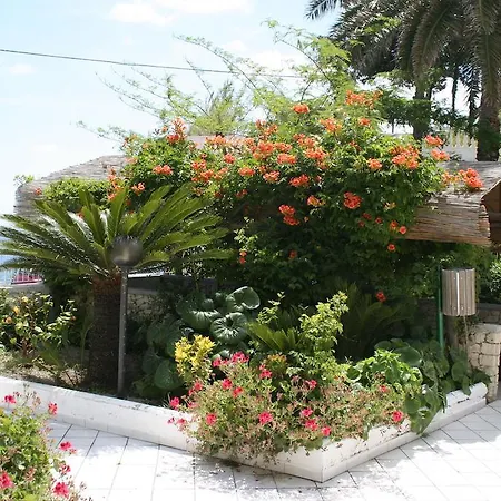 Hotel Bina Sant'Angelo (Isola d'Ischia)
