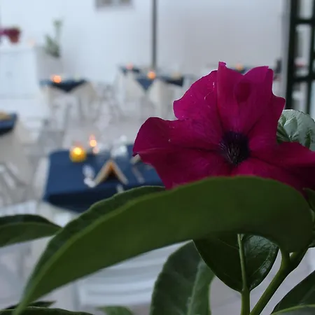 Bina Sant'Angelo (Isola d'Ischia)